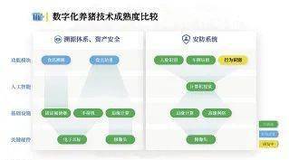 关于数字化养猪管理体系建设实践,这篇文章说透了