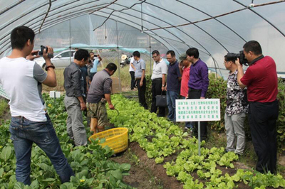 福州市欧盟标准蔬菜示范基地抽样送检仪式圆满落幕