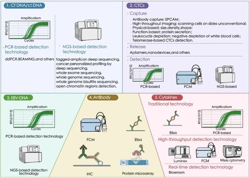 中国之声 刘洋教授团队 t细胞淋巴瘤中的液体活检 生物标志物检测技术及临床应用